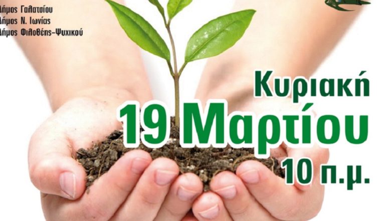 Αναδάσωση στα Τουρκοβούνια
