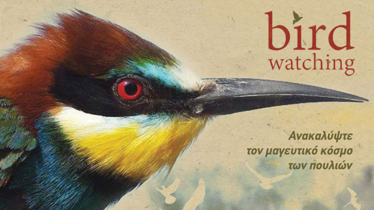“Birdwatching: Ανακαλύψτε τον μαγευτικό κόσμο των πουλιών”. Γράφουν ο Γρηγόρης και ο Λάμπρος Τσούνης