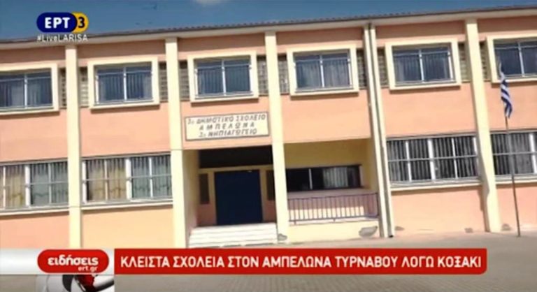Κρούσμα του ιού Κοξάκι σε σχολείο του Τυρνάβου (video)