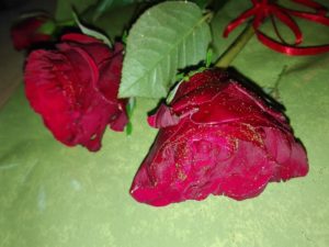 unnamed (3)