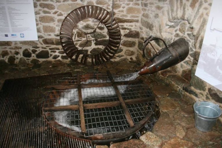 Φλώρινα: Επιτυχημένο το σεμινάριο υδροκίνησης