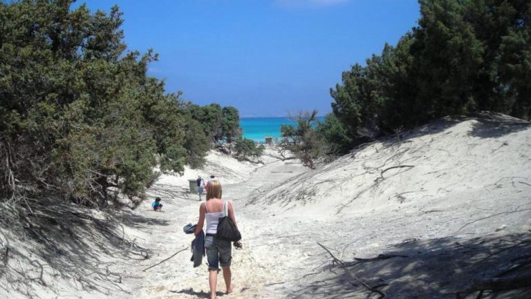 Καταστρέφεται το δάσος στη Χρυσή