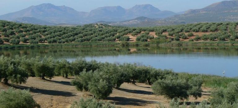 Τρεις περιοχές του Έβρου στο πρόγραμμα μείωσης νιτρορύπανσης