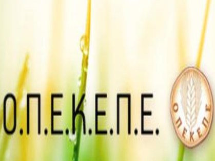 Λειτουργία γραφείου ΟΠΕΚΕΠΕ στην Π.Ε. Φλώρινας
