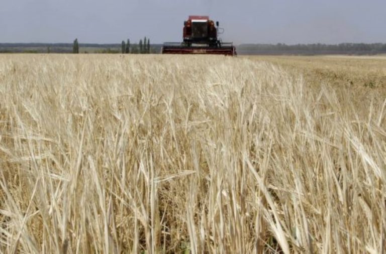 Ουκρανία: Ο πόλεμος κλιμακώνει σοβαρά την επισιτιστική ανασφάλεια παγκοσμίως