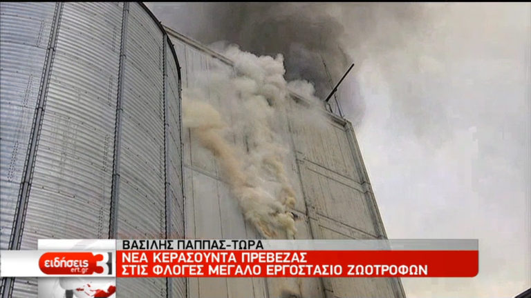 Στις φλόγες μεγάλο εργοστάσιο ζωοτροφών στην Πρέβεζα (video)