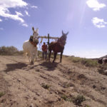 24wres_Santorini5