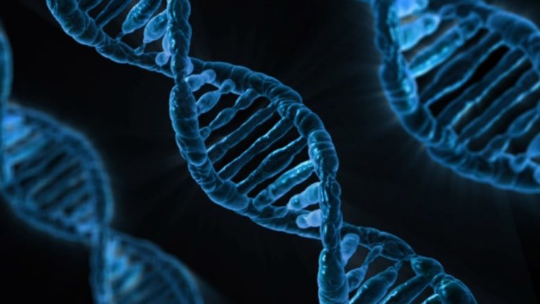 Επιστήμονες κατάφεραν να βάλουν ένα GIF μέσα στο DNA ζωντανού οργανισμού
