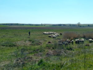 IMG_20170330_140117