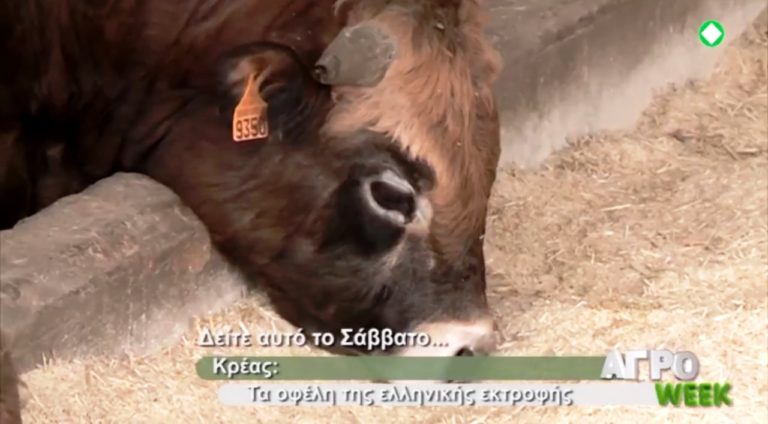 ΕΡΤ3 – «ΑΓΡΟWEEK»: Εκτροφή κρέατος & συνταξιοδοτικό αγροτών (trailer)