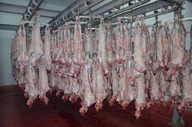 Πρόσληψη 13 κτηνιάτρων από την Περιφέρεια Θεσσαλίας