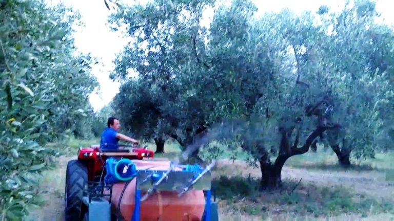 Χανιά: Στη «Διαύγεια» η προκήρυξη για τη δακοκτονία