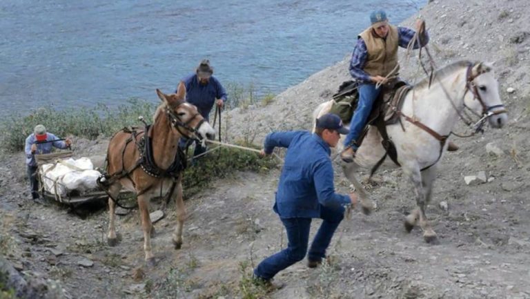 Οι επιστήμονες ανακάλυψαν έναν ολοκαίνουργιο Tυραννόσαυρο