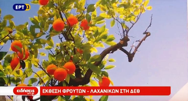 Έκθεση φρέσκων φρούτων και λαχανικών στην ΔΕΘ (video)