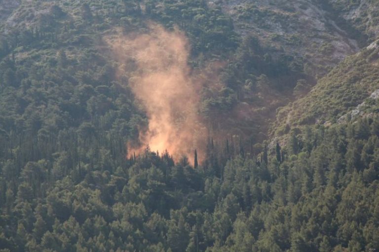 Έβρος: Αύξηση δασικών πυργαγιών από αμέλεια αγροτών