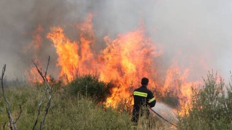 Έναρξη αντιπυρικής περιόδου από σήμερα – Με 82 drones η επιτήρηση