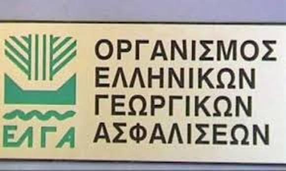 Σέρρες  : Ως τέλη Απριλίου  οι αποζημιώσεις από τον ΕΛΓΑ στους παραγωγούς της Βέργης