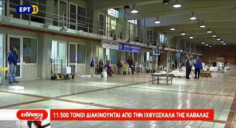 11.500 τόνοι ψαριών διακινούνται από την Ιχθυόσκαλα Καβάλας (video)
