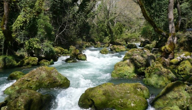 Καθαρισμός κοίτης Καλαμά