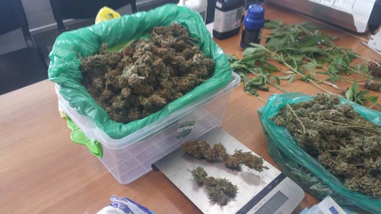 Είχε τρία εργαστήρια υδροπονικής καλλιέργειας κάνναβης