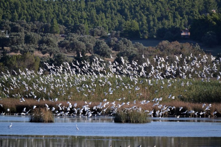 Χανιά: Εκδηλώσεις για την Πρωτομαγιά στην λίμνη της Αγιάς