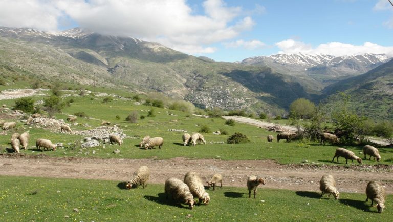 NOΔΕ κατά κυβέρνησης για τα βοσκοτόπια