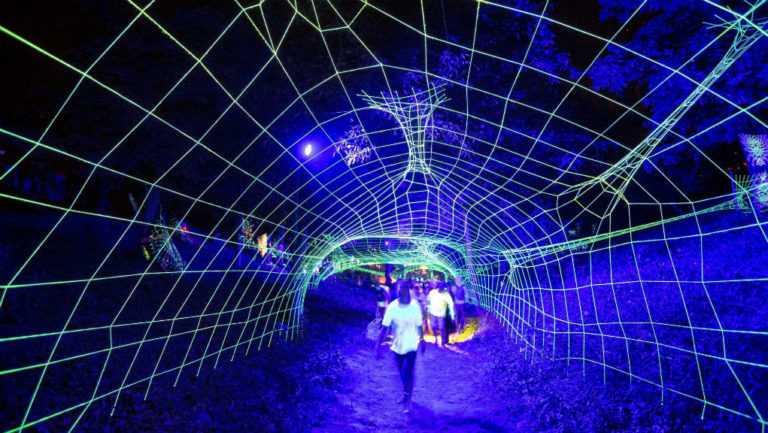 Το LSD δημιουργεί ανώτερες καταστάσεις συνείδησης, λέει νέα έρευνα