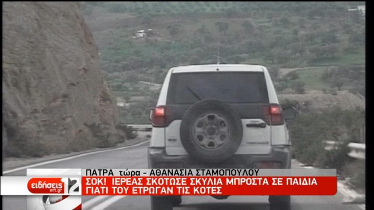 Πάτρα: Σύλληψη ιερέα – Πυροβολούσε σκυλιά μπροστά σε παιδιά ( video)