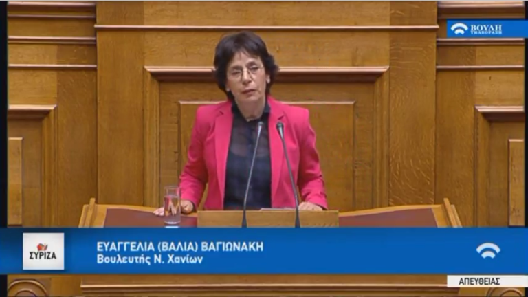 Β. Βαγιωνάκη: Η δημιουργία δασολογίου εντελώς απαραίτητη για τη δημιουργία ενός κράτος δικαίου (video)