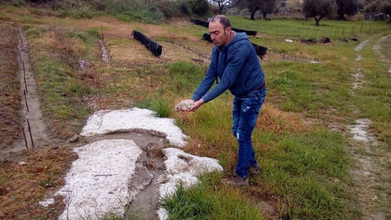Πύργος: Το χαλάζι «χτύπησε» και τη Δ.Ε. Ωλένης