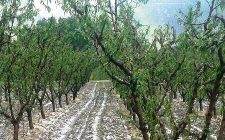 Καταστροφική χαλαζόπτωση σε περιοχές της Π.Ε. Σερρών