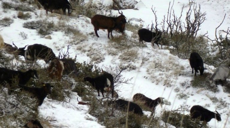 Χρηματοδότηση για την αποκατάσταση των ζημιών