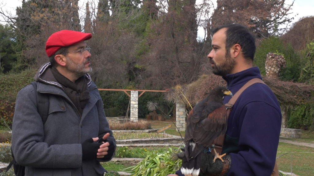 «Κήπος Διομήδους» (3)