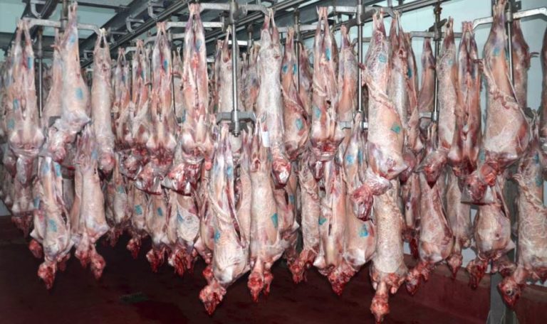 Ορεστιάδα: Στον “αέρα” 17.000 αμνοερίφια στον Έβρο, ενόψει του Πάσχα