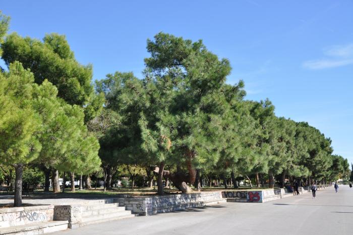 Βόλος: Επιχείρηση λιμενικών στο πάρκο Αγ. Κωνσταντίνου