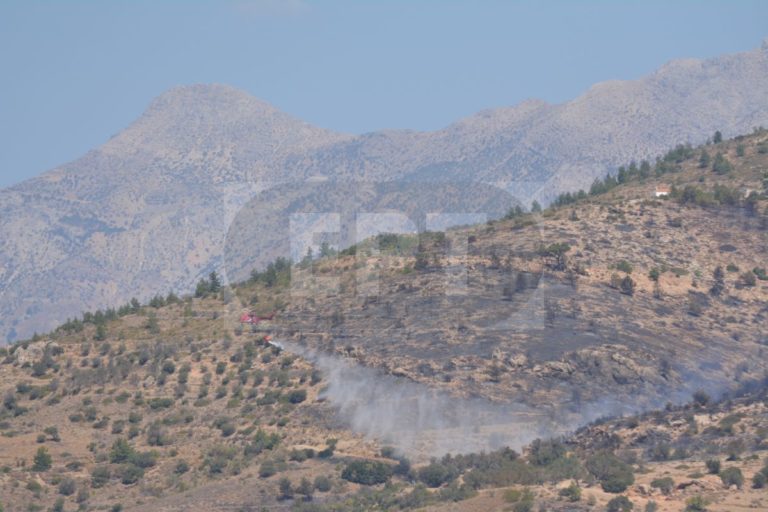 Χίος: Προστασία της περιοχής από τα κατσίκια, ζητούν οι μελισσοκόμοι της Σιδηρούντας Χίου