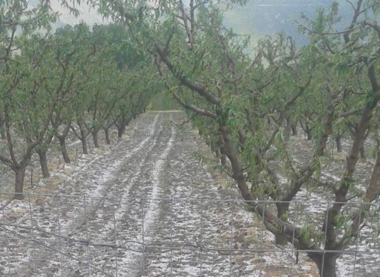 Κοζάνη: Δυνατοί άνεμοι και βροχή έπληξαν το Βελβεντό – Χαλάζι στον κάμπο με καλλιέργειες