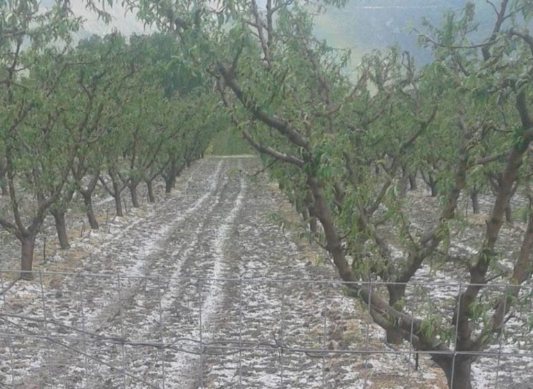 Κοζάνη: Αναβολή επίσκεψης προέδρου ΕΛΓΑ – Κανονικά η σύσκεψη στο Βελβεντό