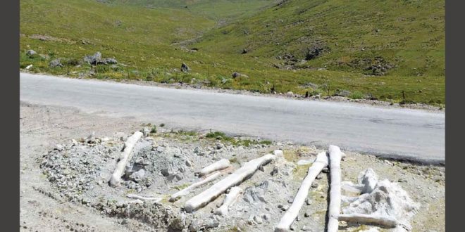 Έκθεση «Το δάσος κάτω από το δρόμο» στη Μυτιλήνη