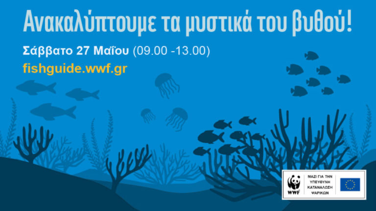 Ανακαλύψτε όλα τα μυστικά του βυθού στο Πάρκο Φλοίσβου!