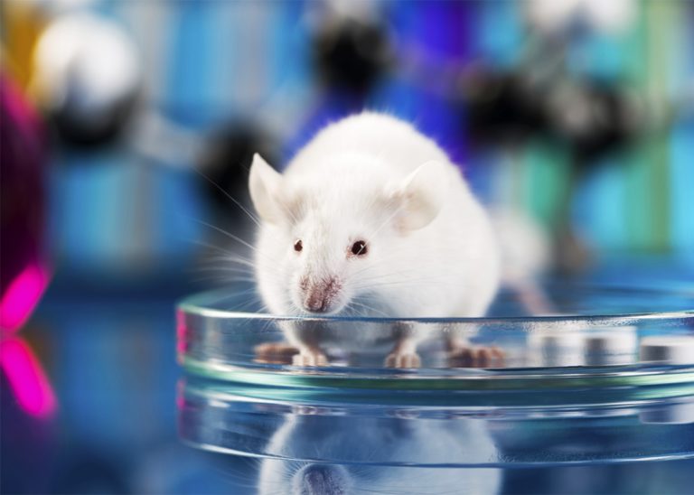 Τρισδιάστατα εκτυπωμένες ωοθήκες επιτρέπουν σε στείρα θηλυκά ποντίκια να γεννήσουν