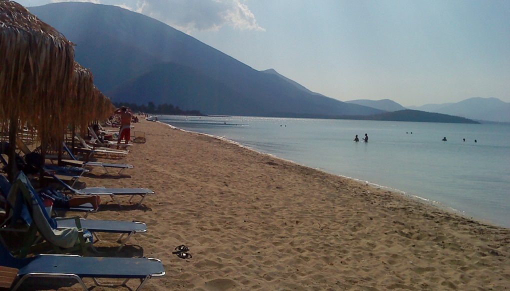 PARALIA