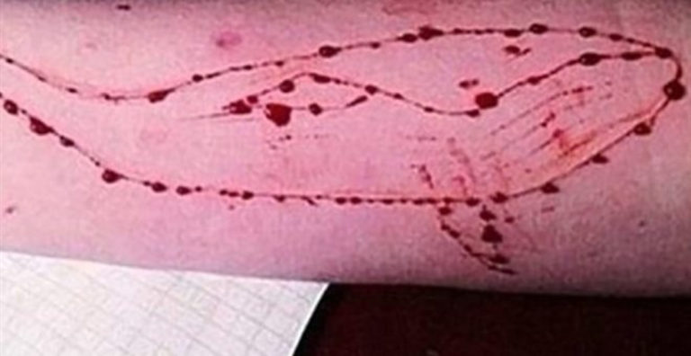 Ηράκλειο: Παρέμβαση της Εισαγγελίας Πρωτοδικών για το διαδικτυακό παιχνίδι «μπλε φάλαινα»