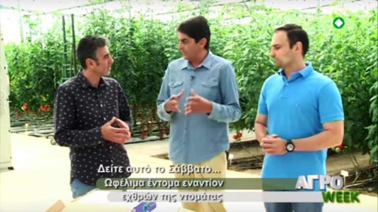 “ΑΓΡΟweek”: Ωφέλιμα έντομα στις ντοματιές και κούρεμα προβάτων (trailer)
