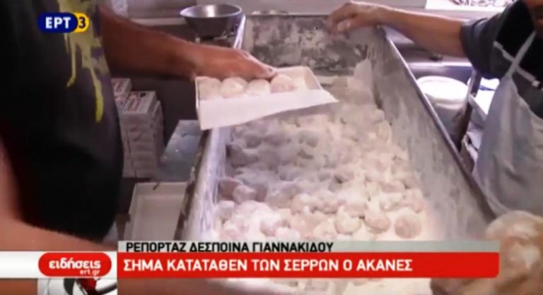 Σήμα κατατεθέν των Σερρών ο ακανές