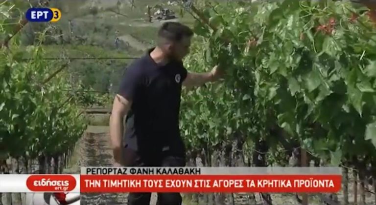 Την τιμητική τους έχουν στις αγορές τα αγροτικά προϊόντα (video)