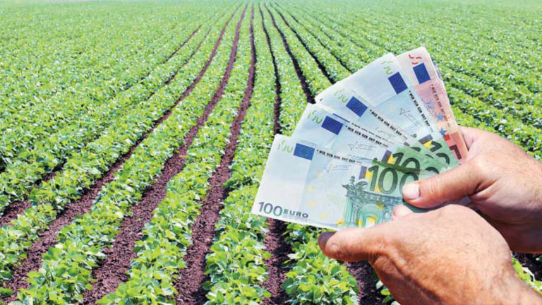 Αύριο η καταβολή 21,7 εκατ. ευρώ στους παραγωγούς για αποζημίωση από τις καταστροφές που επέφεραν «Daniel» και «Elias»