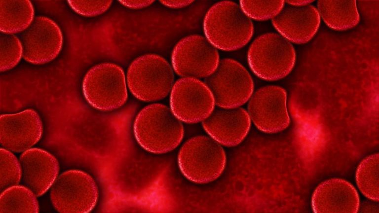 ΗΠΑ: Δημιουργήθηκαν βλαστοκύτταρα του αίματος στο εργαστήριο