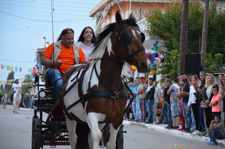 Πύργος: Εντυπωσιακή ιππική παρέλαση