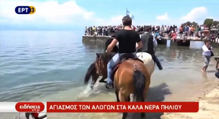 Το έθιμο του αγιασμού των αλόγων στα Καλά Νερά Πηλίου (video)